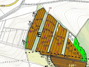 Dražba lesa, Hradčany-Kobeřice, 6360 m2