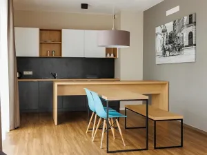 Pronájem bytu 2+kk, Plzeň - Východní Předměstí, Pallova, 66 m2