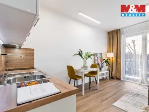 Pronájem bytu 1+kk, Kladno - Dubí, Ke křížku, 28 m2