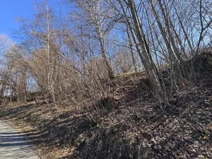 Prodej pozemku pro bydlení, Zlaté Hory, U Sv. Rocha, 5589 m2