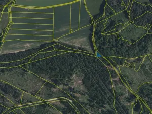 Prodej lesa, Volfířov - Brandlín, 406 m2