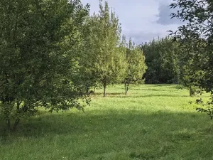 Prodej pozemku pro bydlení, Kladno, Jar. Seiferta, 4912 m2