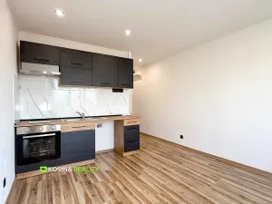 Prodej bytu 1+kk, Sokolov, Švabinského, 22 m2