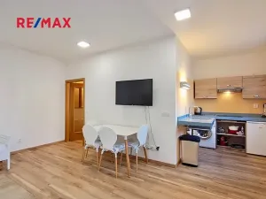 Pronájem bytu 1+kk, Praha - Podolí, Na hřebenech I, 34 m2