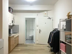 Pronájem bytu 1+kk, Brno, Lidická, 23 m2