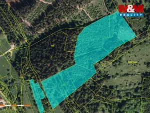Prodej lesa, Nový Hrozenkov, 32112 m2