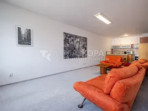 Pronájem bytu 1+kk, Praha - Vysočany, Pešlova, 41 m2