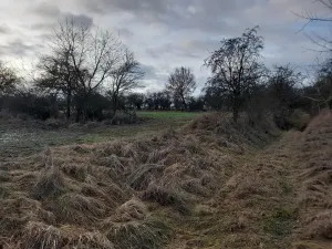 Prodej sadu/vinice, Malý Újezd, 7862 m2