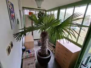 Prodej rodinného domu, Chlumec nad Cidlinou, Spravedlnost, 115 m2