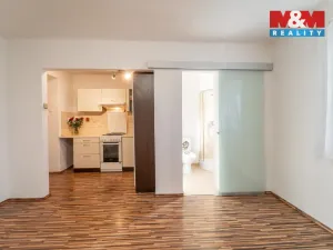 Prodej bytu 1+1, Kladno - Kročehlavy, U výtopny, 35 m2