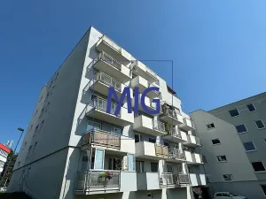 Pronájem bytu 1+kk, Brno, Tomečkova, 44 m2