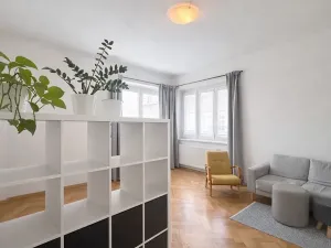 Pronájem bytu 1+1, Brno, Havlišova, 48 m2