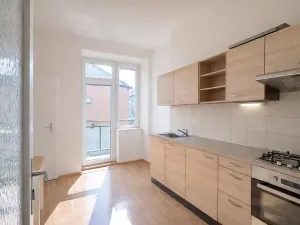 Pronájem bytu 1+1, Brno, Havlišova, 48 m2