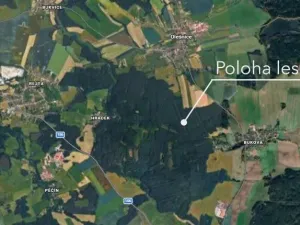 Prodej lesa, Olešnice, 18382 m2