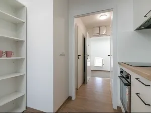Pronájem bytu 1+kk, Brno, Poštovská, 45 m2