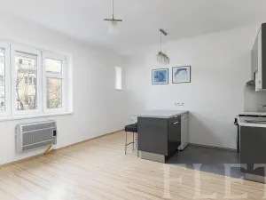Prodej bytu 1+kk, Praha - Žižkov, Biskupcova, 28 m2