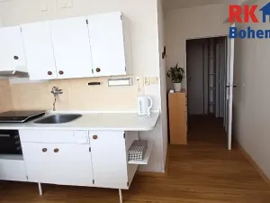 Pronájem bytu 1+1, Mladá Boleslav, Jana Palacha, 41 m2