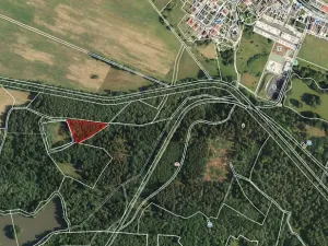 Prodej lesa, Františkovy Lázně, Jezerní, 2956 m2