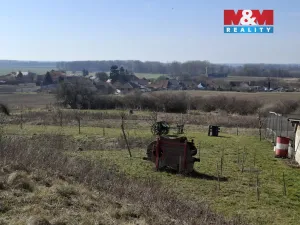 Prodej pole, Pohořelice - Smolín, 9944 m2