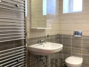 Pronájem bytu 2+1, Brno, Olomoucká, 91 m2