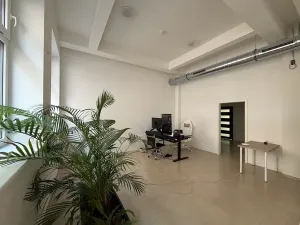 Pronájem kanceláře, Opava, Provaznická, 430 m2