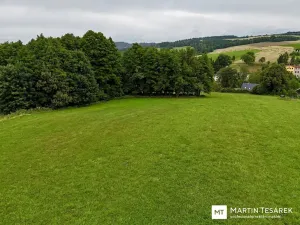 Prodej pozemku pro bydlení, Pulečný, 4466 m2