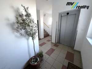 Pronájem bytu 1+kk, Lysá nad Labem, Vichrova, 31 m2