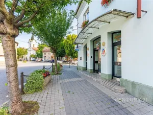 Pronájem bytu 2+1, Libčice nad Vltavou, Letecká, 67 m2