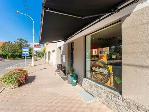 Pronájem bytu 2+1, Libčice nad Vltavou, Letecká, 67 m2