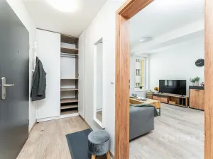 Pronájem bytu 2+kk, Praha, Plzeňská, 48 m2