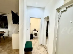 Pronájem bytu 1+kk, Brno - Brno-město, Kobližná, 50 m2