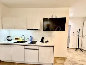 Pronájem bytu 1+kk, Brno - Brno-město, Kobližná, 50 m2