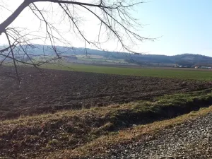 Prodej pozemku pro bydlení, Libina, 12500 m2