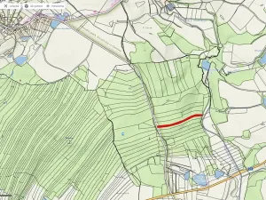 Prodej lesa, Horní Meziříčko, 6238 m2