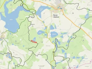 Prodej lesa, Nová Olešná, 9963 m2