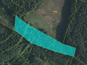 Prodej lesa, Nová Olešná, 9963 m2