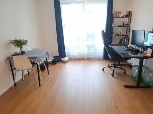 Pronájem bytu 2+kk, Brno, třída Generála Píky, 47 m2