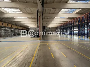 Pronájem skladu, Brno, Vídeňská, 758 m2