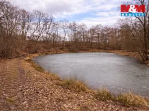 Prodej pozemku pro bydlení, Křečovice - Vlkonice, 68525 m2