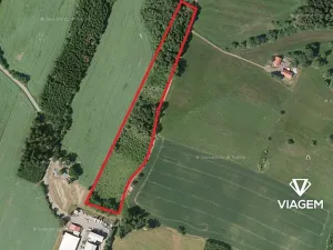 Prodej podílu lesa, Lomnice nad Popelkou, 11413 m2