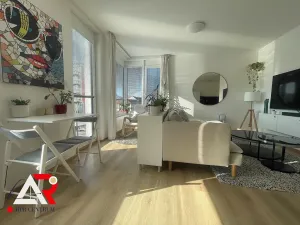 Prodej bytu 2+kk, Brno, U Červeného mlýna, 73 m2