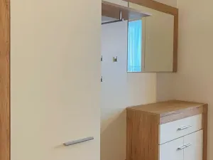 Pronájem bytu 3+1, Ostrava, Františka Lýska, 72 m2