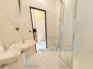 Pronájem bytu 1+kk, České Budějovice, Fr. Ondříčka, 23 m2