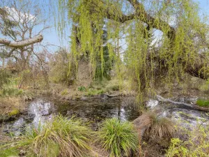 Prodej rodinného domu, Lhota, Kladenská, 260 m2