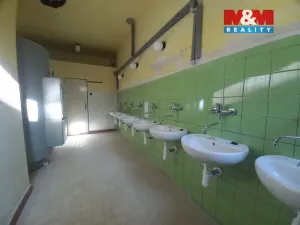 Pronájem skladu, Včelákov - Dolní Babákov, 550 m2