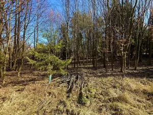 Prodej pole, Chotěbuz, Pod Zámkem, 2300 m2