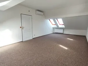 Pronájem bytu 3+1, Ostrava, Daliborova, 160 m2