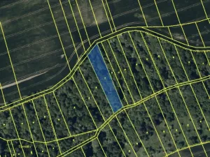 Prodej louky, Ondratice, 2250 m2