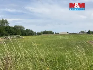 Prodej pole, Spělkov, 25164 m2