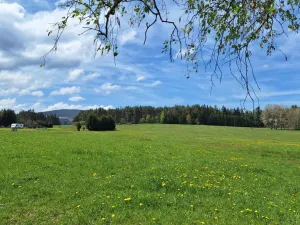 Prodej louky, Zdíkov - Masákova Lhota, 5959 m2